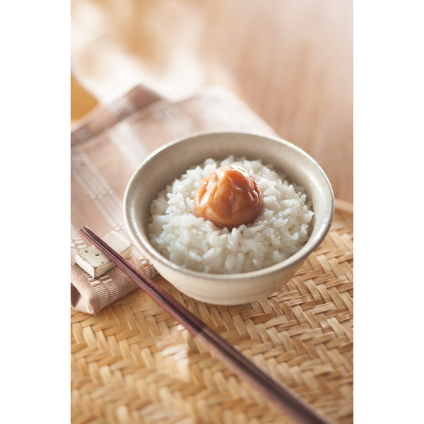 南高梅 うす塩味（４００ｇ）