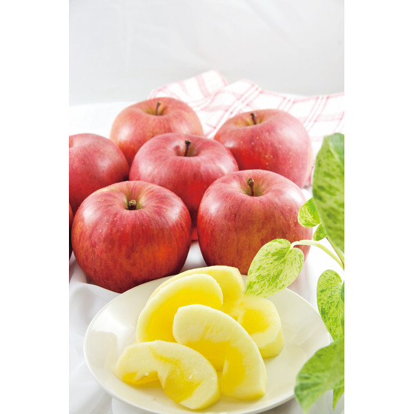 青森県産 サンふじ 秀品（２ｋｇ）