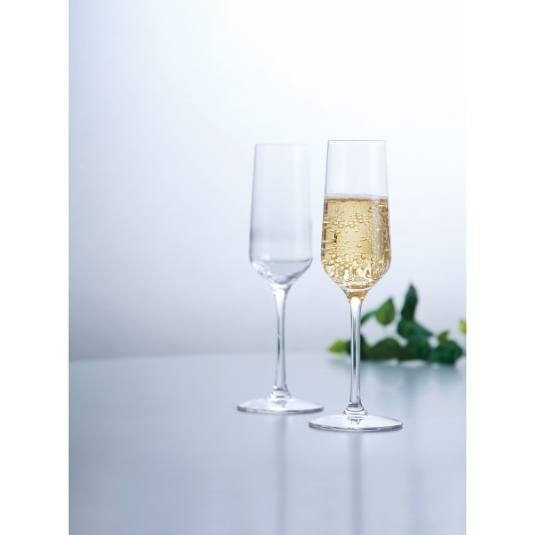 シュトルツル レボリューション ペアシャンパン