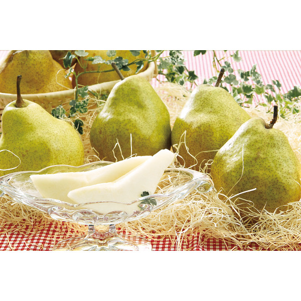 山形県産シルバーベル（２ｋｇ）