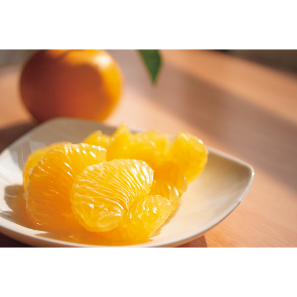 国産ハッサク（２ｋｇ）