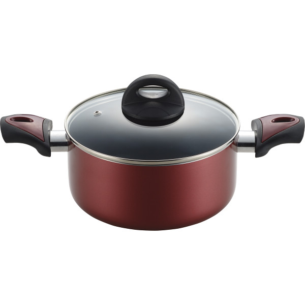 リアン ＩＨ対応両手鍋（２０ｃｍ）