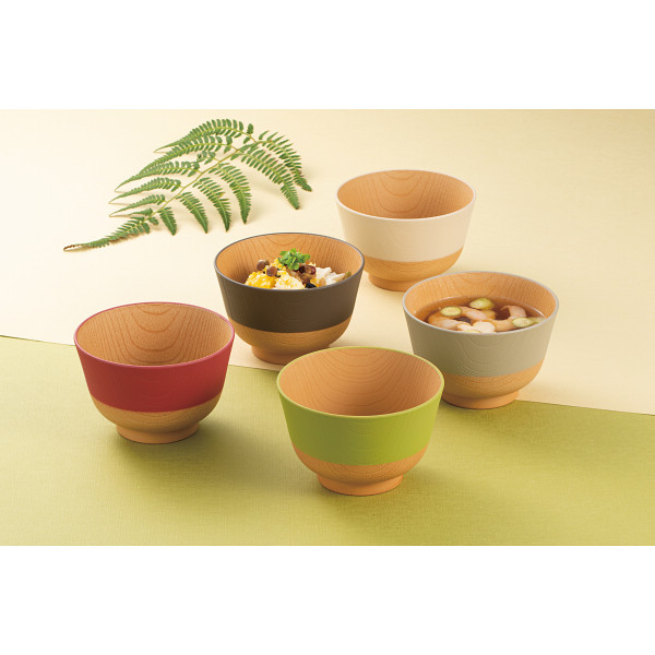 やさしい彩り 抗菌汁椀５客揃