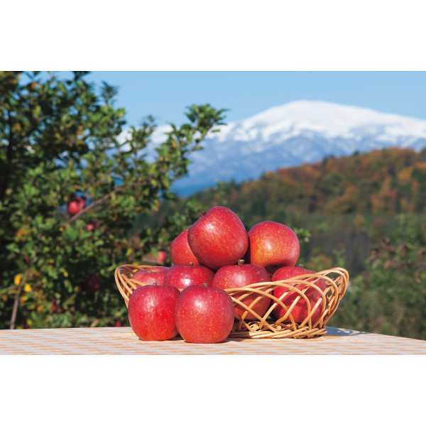 山形県産サンふじりんご（５ｋｇ）