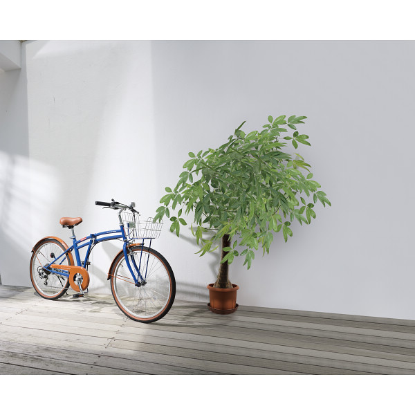 ２４型折畳自転車 シンプルスタイル ＰＬ２４６ＢＳ ２台組