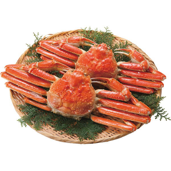 ボイルずわいがに姿２尾（計９００ｇ）