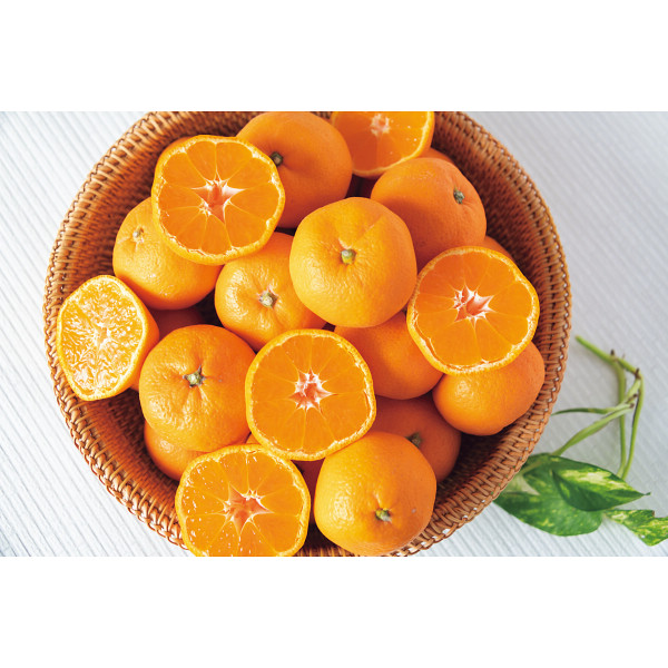 和歌山県産 紀南木熟みかん（５ｋｇ）