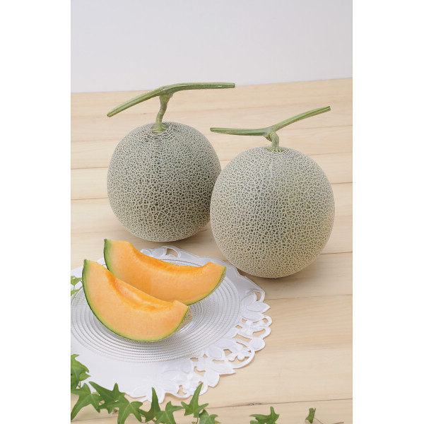 北海道メロン　特大玉（２玉）