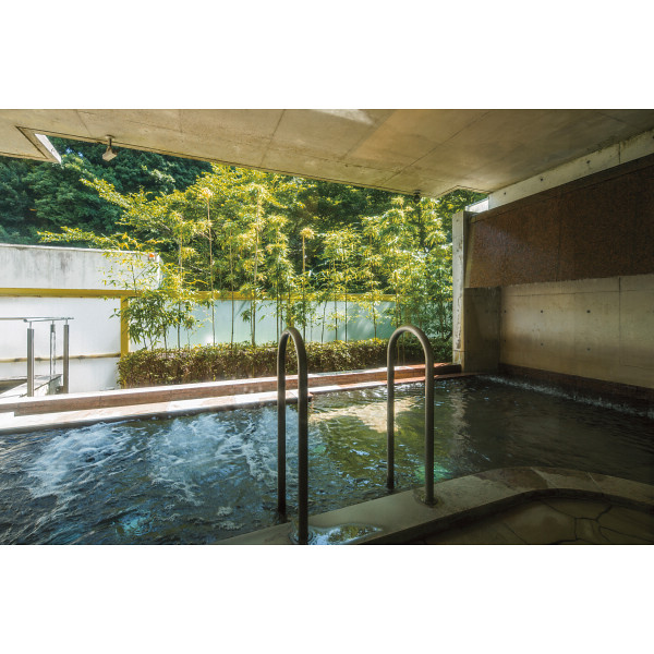 日本観光旅館　み奈美亭　日帰り入浴＋昼食付　２名様