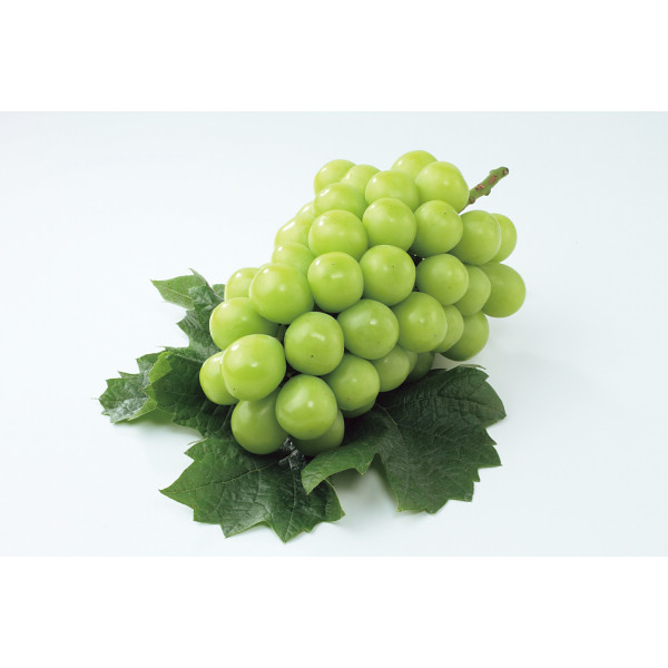 山梨県産 シャインマスカット（２ｋｇ）