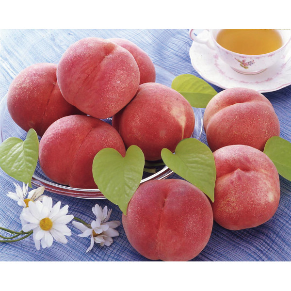 山梨県産桃（４．８ｋｇ）