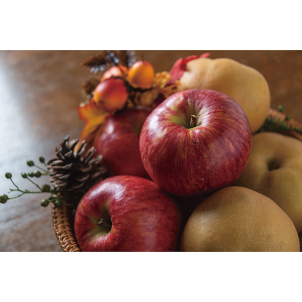 長野県産シナノスイート・梨