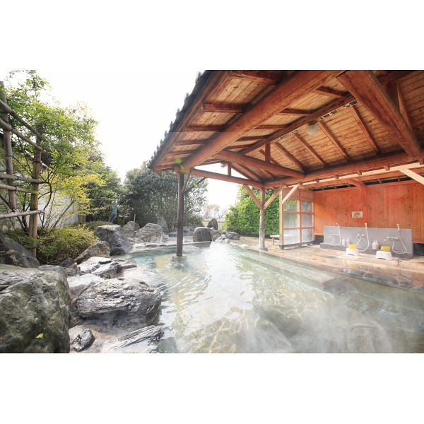 南平台温泉ホテル　日帰り入浴＋昼食付（平日限定）２名様