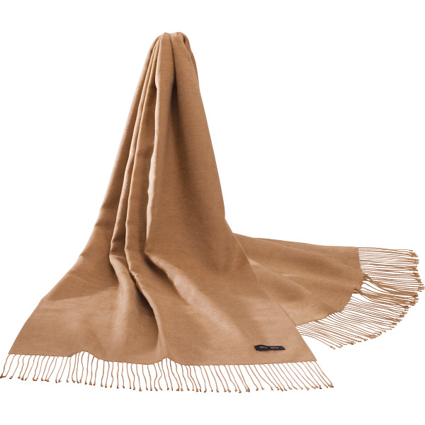 シルクスト－ルキャメル