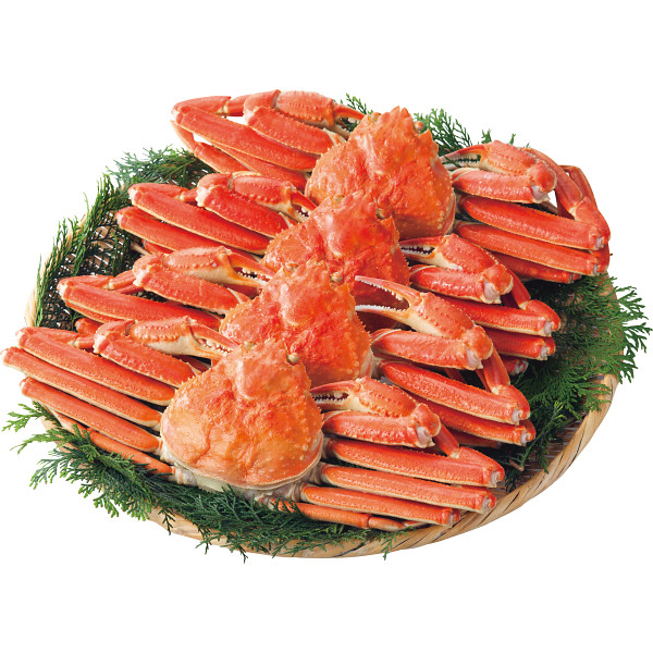 ボイルずわいがに姿４尾（計１．９ｋｇ）