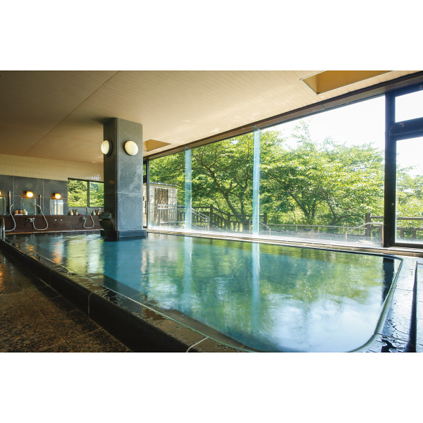 信貴山観光ホテル　日帰り入浴＋昼食付　２名様