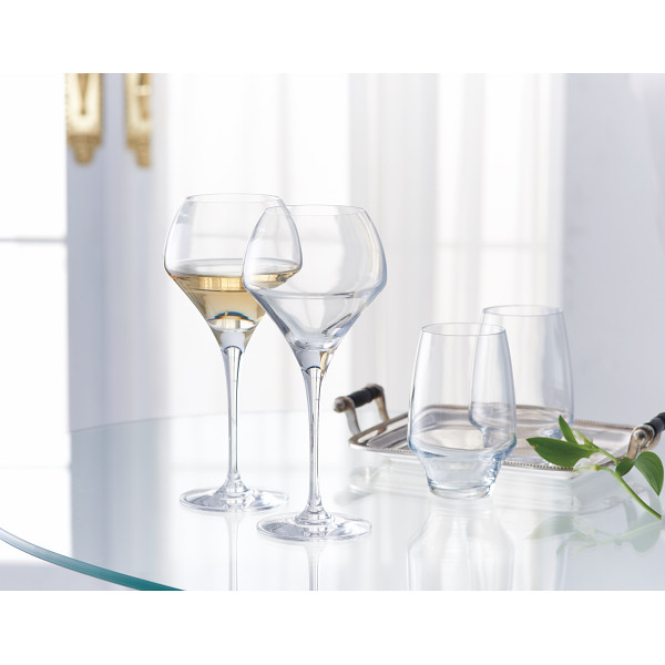 シェフ＆ソムリエ オープンナップ １０ピースセット