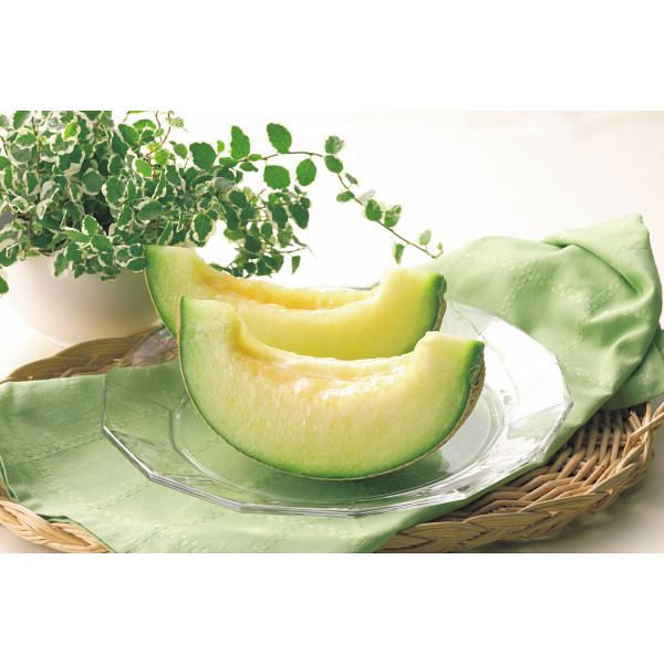 静岡県産 温室マスクメロン（１玉）