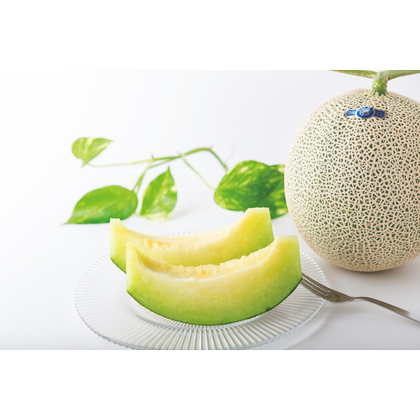 静岡県産マスクメロン・宮崎県産完熟マンゴー
