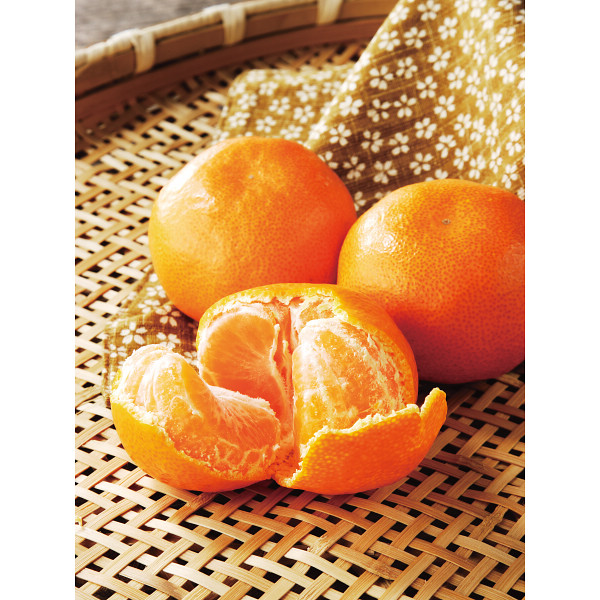 和歌山早生みかん（７ｋｇ）