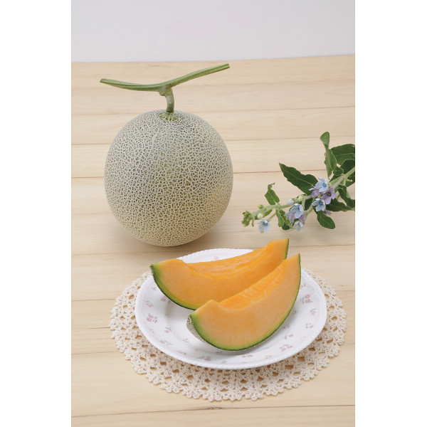 北海道メロン（２玉）