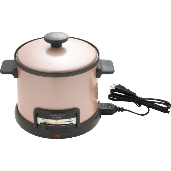 電気フライヤー