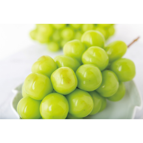 シャインマスカット（１．４ｋｇ）