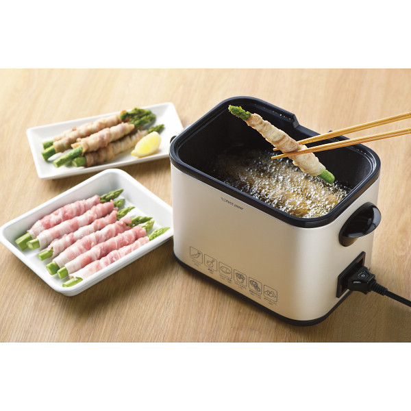 プチ・プレジール　電気角形フライヤー