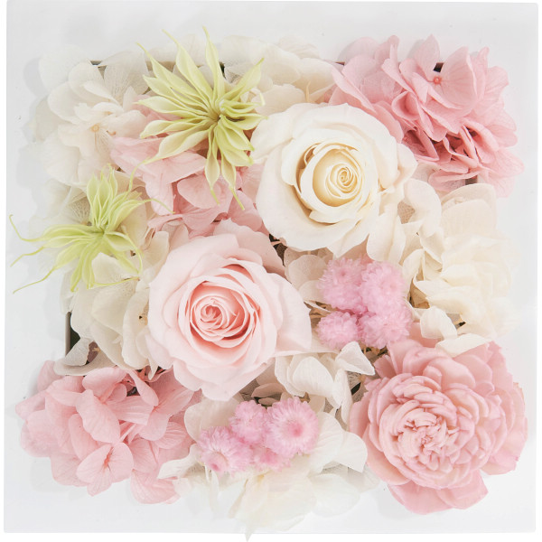 プリザーブドウォールフラワー（スクエア）ピンク