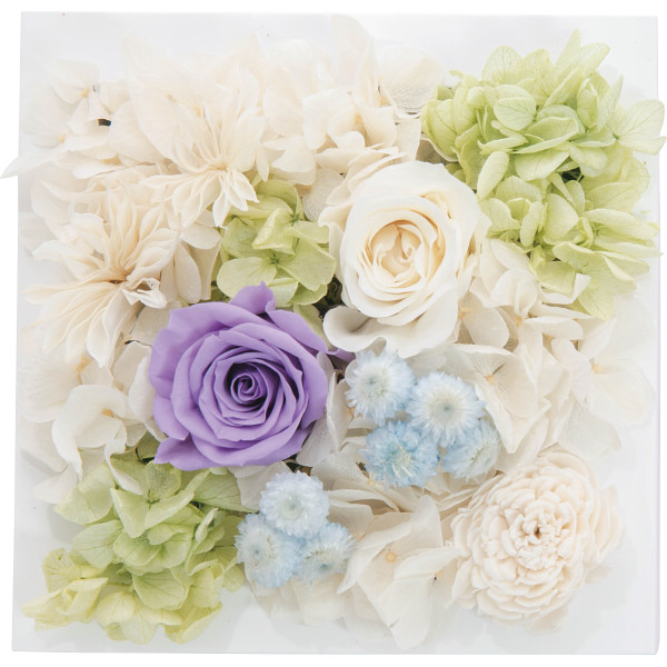 プリザーブドウォールフラワー（スクエア）パープル