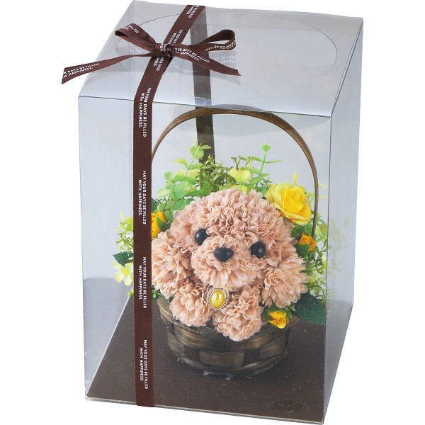 フラワーパピートイプードル