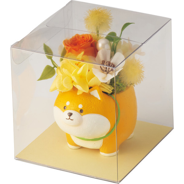 アニマルプリザ（プリザーブドフラワー）柴犬