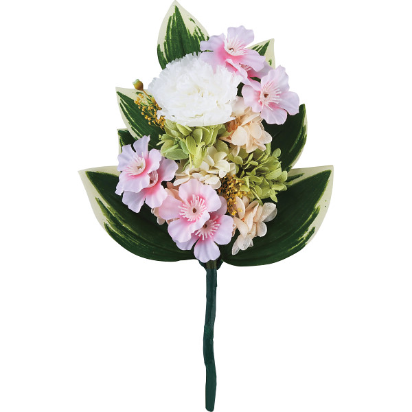 四季仏花春（サクラ）