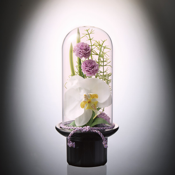 プリマ ガラスドーム供花 胡蝶蘭（造花）