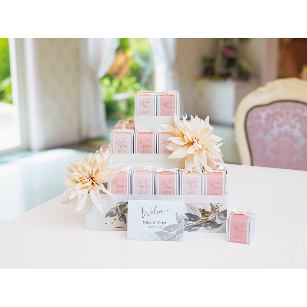 ダリアグレース ３４個セット