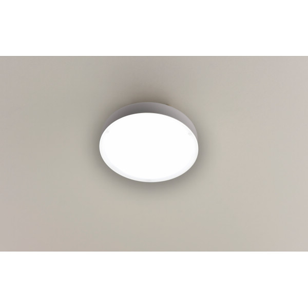 ヤマゼン　ＬＥＤミニシーリングライト（昼白色）昼白色