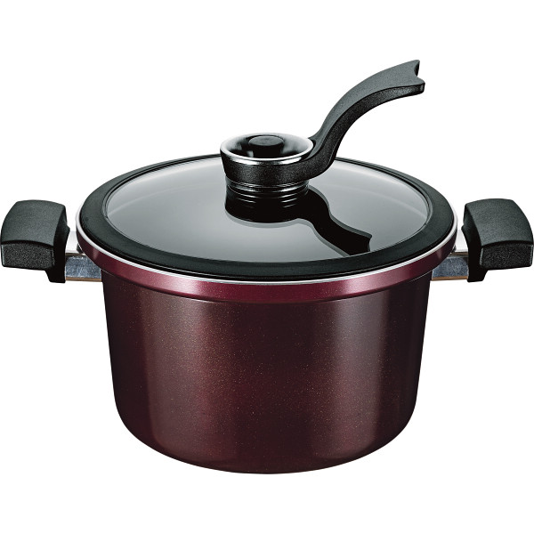 ビストニア ＩＨ対応真空煮込み鍋（１９ｃｍ）