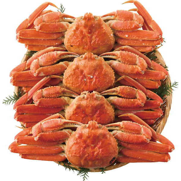 ボイルずわいがに姿４尾（計１．９ｋｇ）