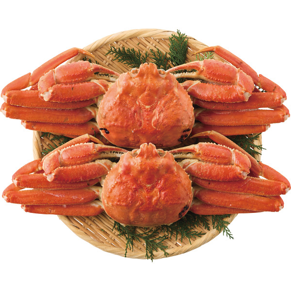 ボイルずわいがに姿（２杯　計９００ｇ）