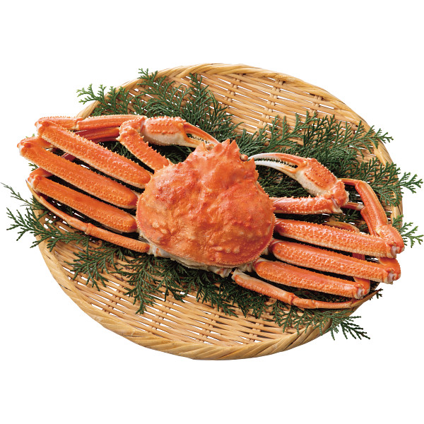 ゆでずわいがに姿