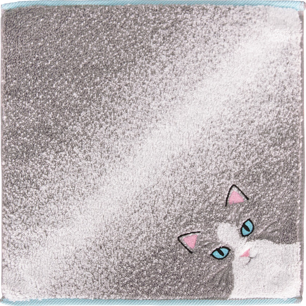 Ｕｃｈｉｎｏｋｏ　ｍａｔｅ　毛並みハンカチハチワレ