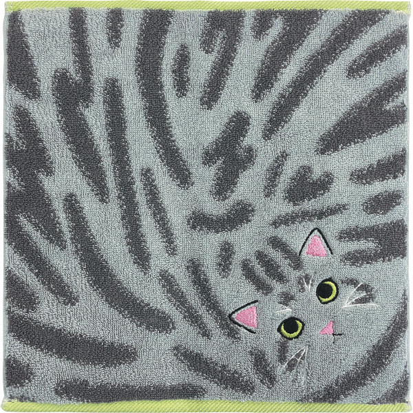 Ｕｃｈｉｎｏｋｏ　ｍａｔｅ　毛並みハンカチサバトラ