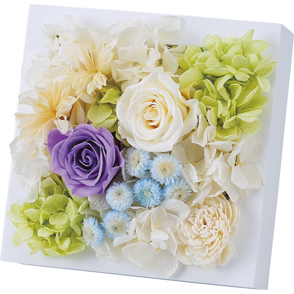 プリザーブドウォールフラワー（スクエア）パープル