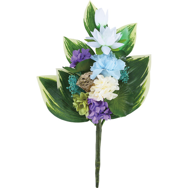 四季仏花夏（ハス）