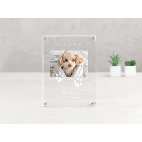 うちの子記念日　アクリルたてがた（お仕立券）