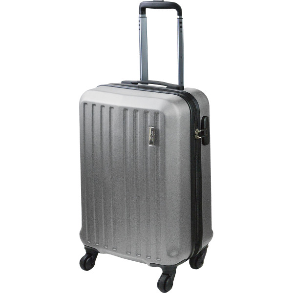 ミッシェル　クラン　キャリーケースシルバー