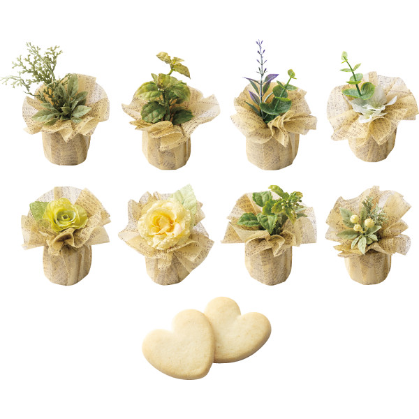 グリーンドーム　１個